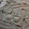 Ivory Beige Sequin Embroidered Designer Saree with Stitched Blouse