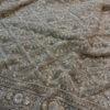 Ivory Beige Sequin Embroidered Designer Saree with Stitched Blouse