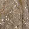 Sequin Embroidered Net Saree with Floral Vine Design & Stone Necklace Look
