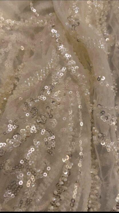 Sequin Embroidered Net Saree with Floral Vine Design & Stone Necklace Look